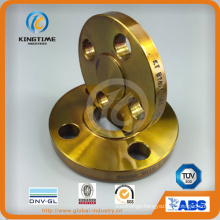 Coated A105 Carbon Steel Slip-on Flange Forged Flange with TUV (KT0284)